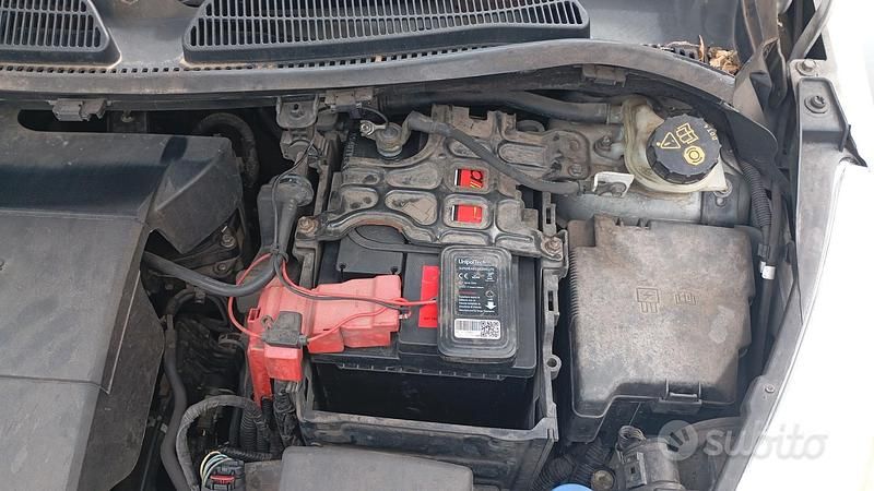 Usata Ford Fiesta 70 CV (51 kW) 2011 Bianco Utilitaria