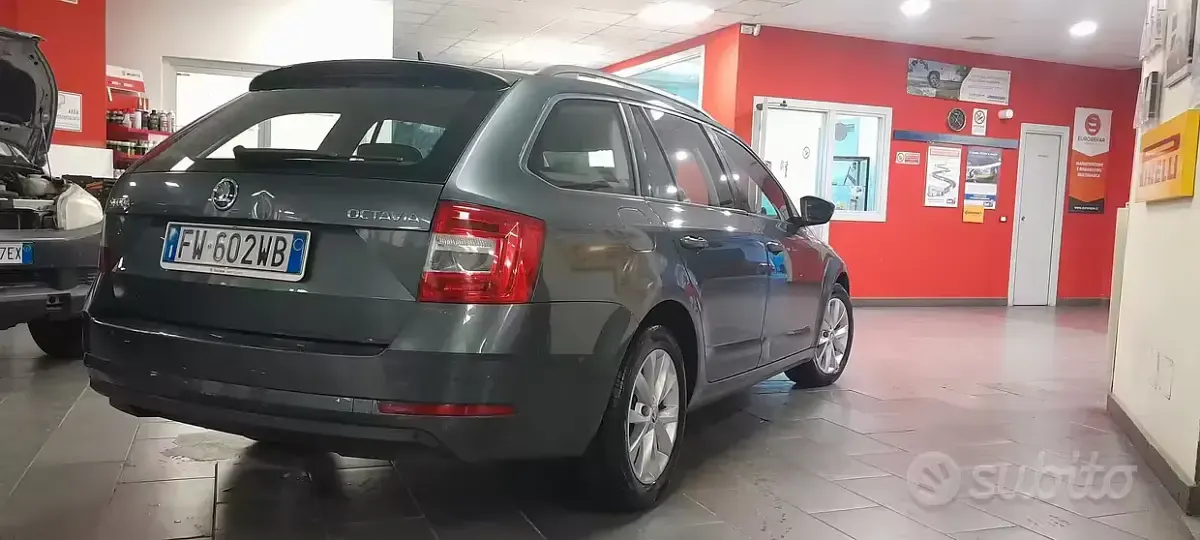 Usata Skoda Octavia 116 CV (85 kW) 2019 Grigio Station wagon