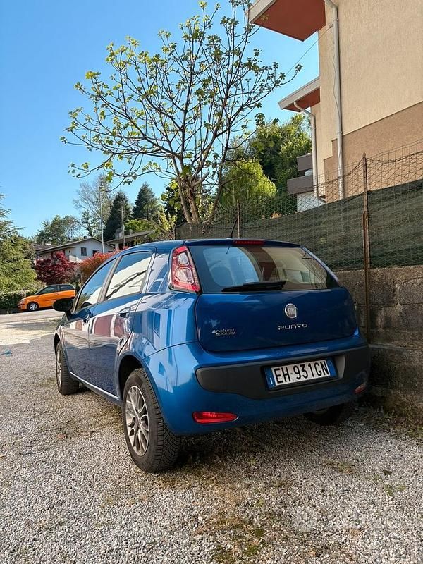 Usata Fiat Punto 77 CV (56 kW) 2011 Blu Utilitaria