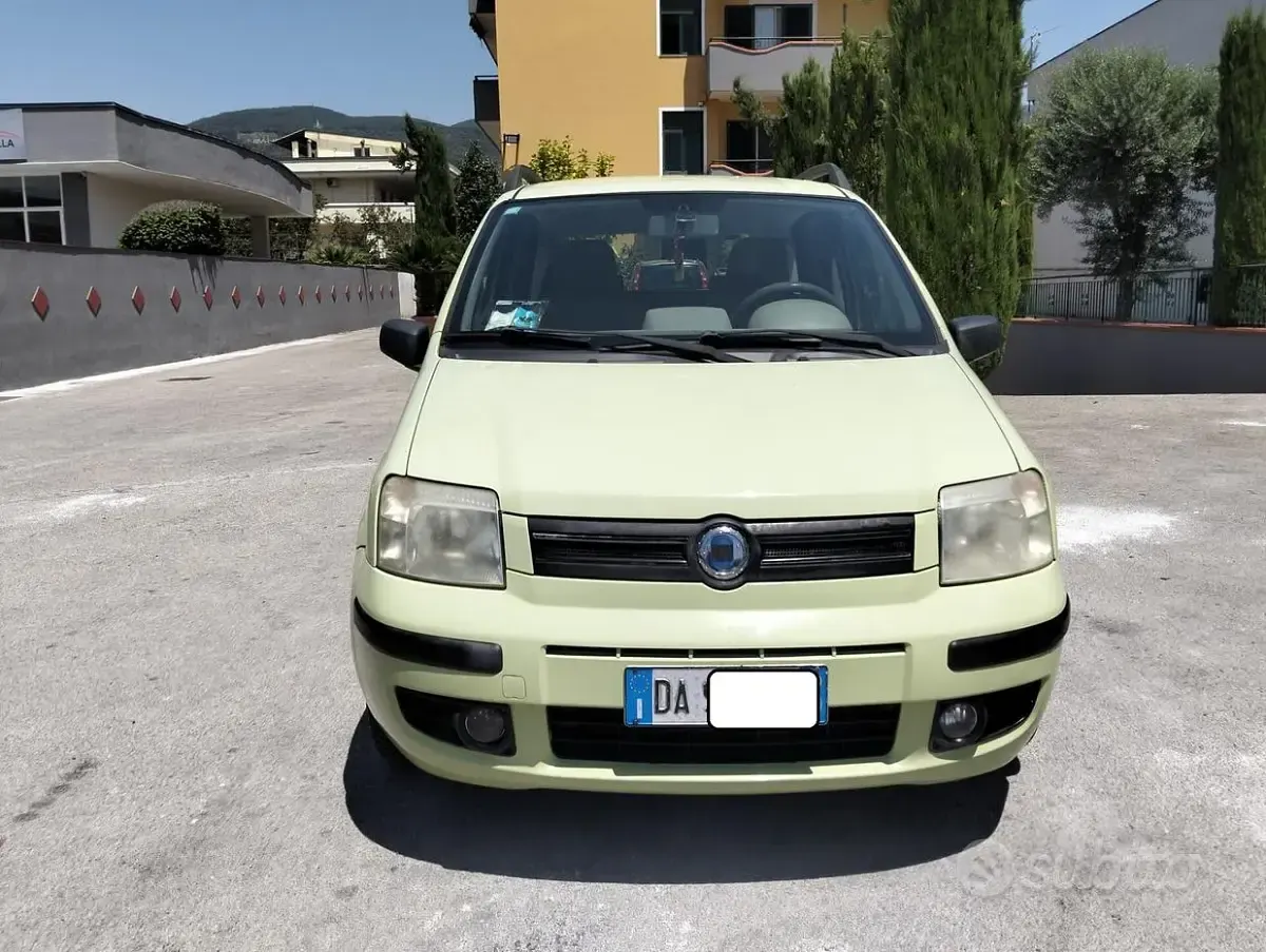 Usata Fiat Panda Dynamic 60 CV (44 kW) 2006 Verde Utilitaria