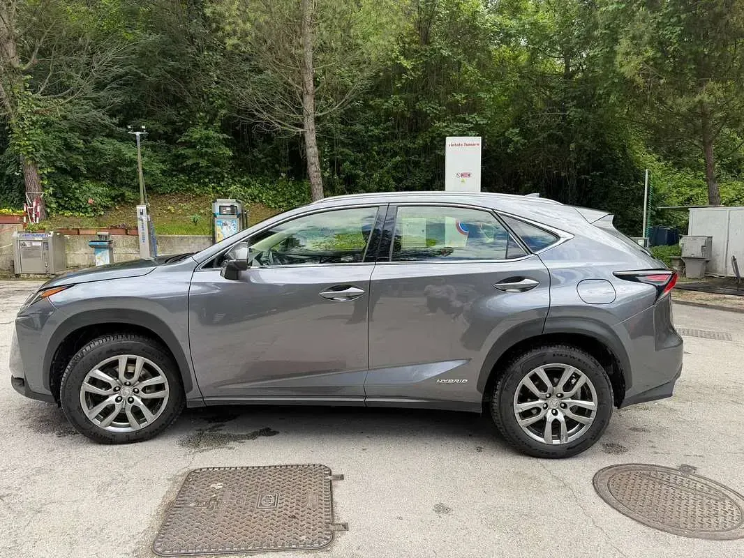 Usata Lexus NX300h Executive Line 155 CV (114 kW) 2015 Grigio SUV