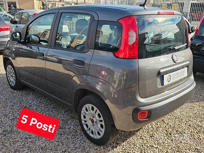 Usata Fiat Panda Easy 69 CV (50 kW) 2021 Grigio Berlina