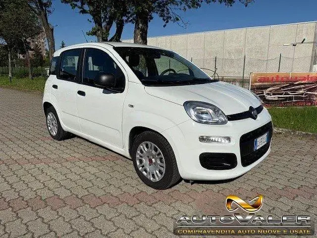 Usata Fiat Panda S 69 CV (50 kW) 2022 Bianco Utilitaria