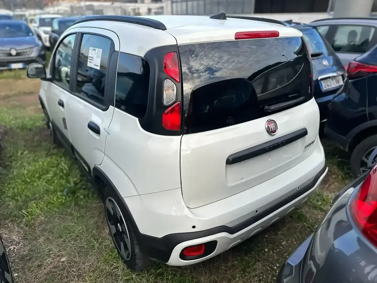 Usata Fiat Panda Cross Cross 70 CV (51 kW) 2025 Bianco Utilitaria