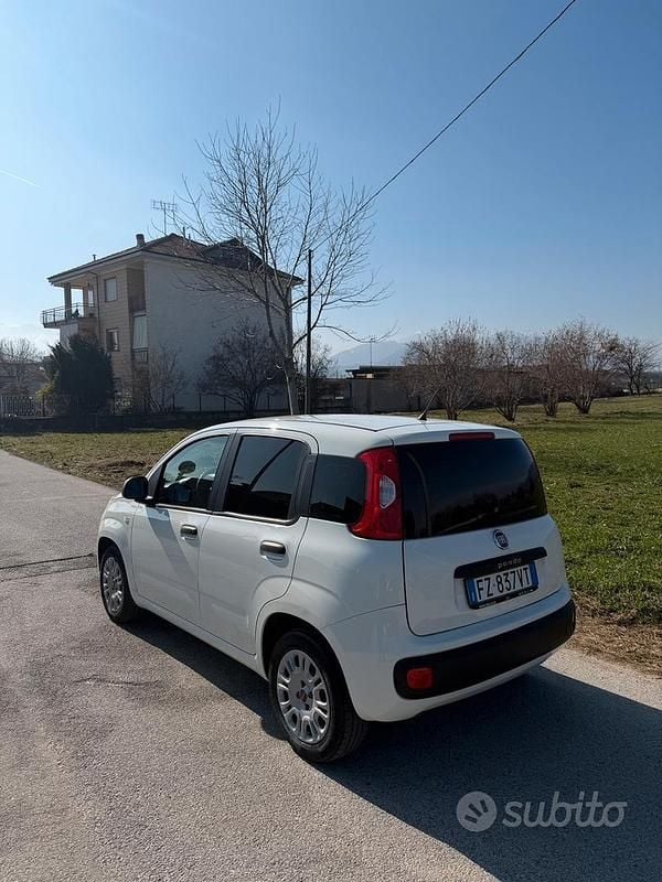 Usata Fiat Panda Easy 69 CV (50 kW) 2020 Utilitaria