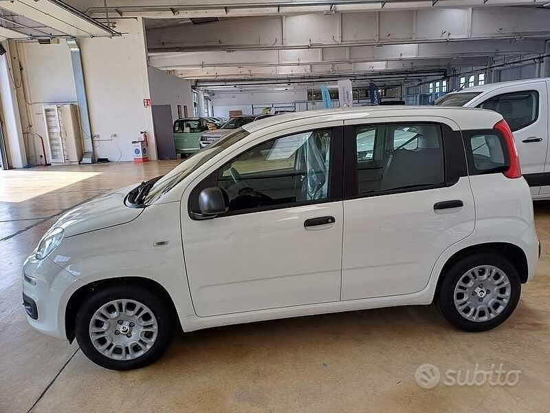 Nuova Fiat Panda Pop 70 CV (51 kW) 2025 Bianco Utilitaria