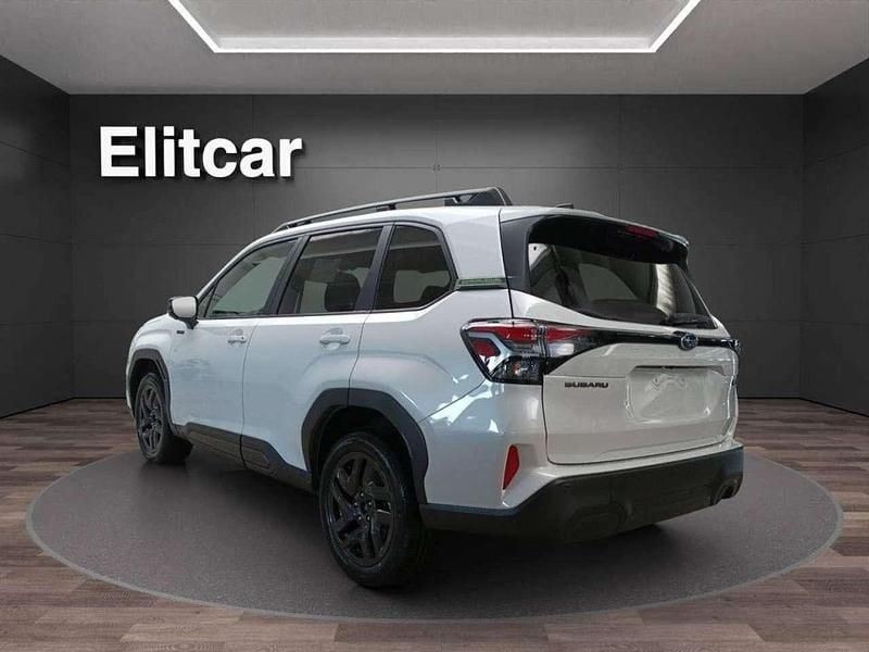 Nuova Subaru Forester 4dventure 150 CV (110 kW) 2026 Bianco SUV