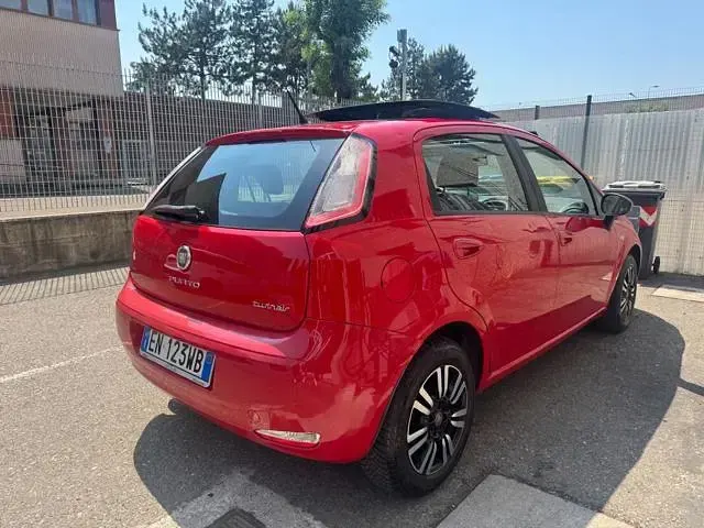 Usata Fiat Punto 84 CV (61 kW) 2012 Bordeaux pastello Utilitaria
