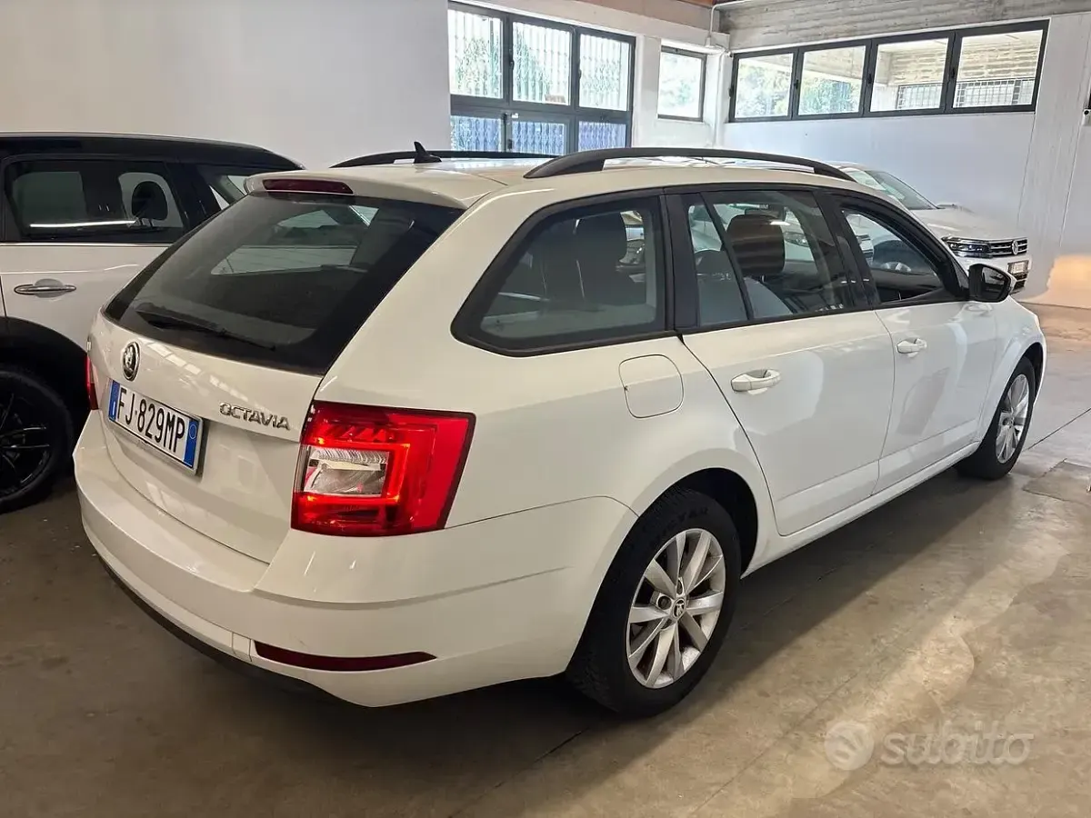 Usata Skoda Octavia 116 CV (85 kW) 2017 Bianco Station wagon