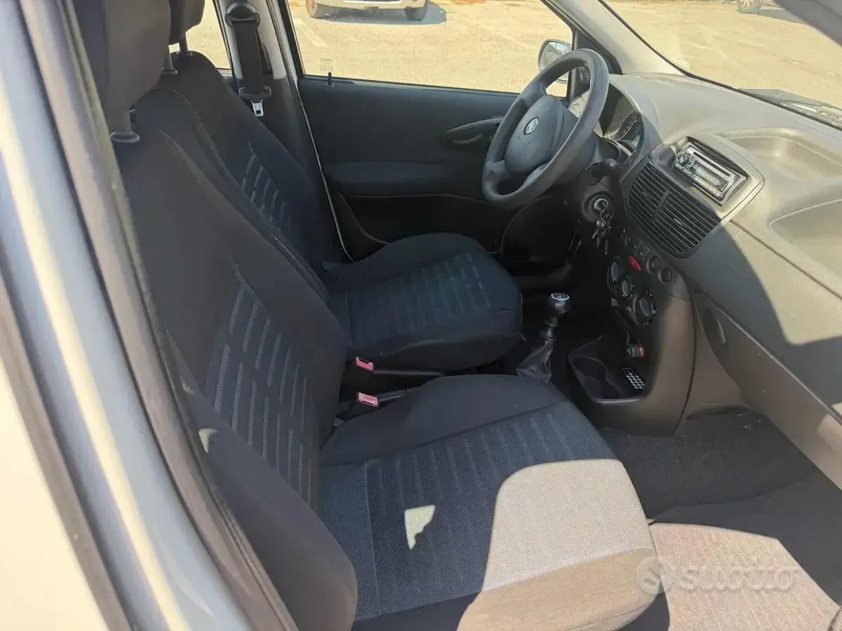Usata Fiat Punto Active 60 CV (44 kW) 2009 Bianco Utilitaria