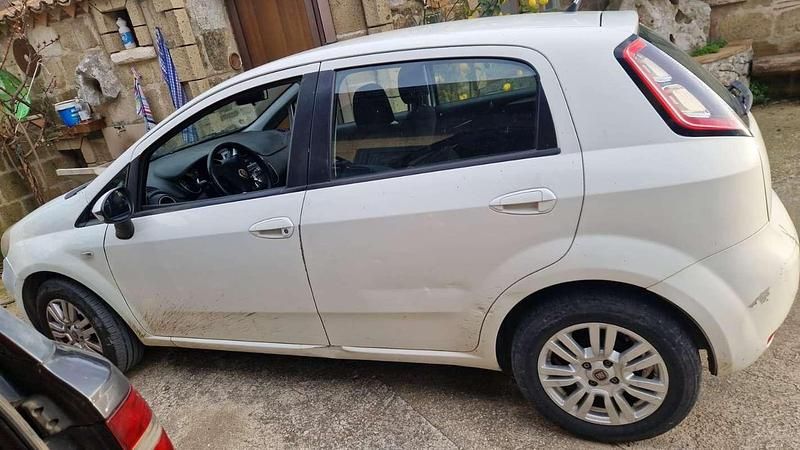 Usata Fiat Punto Easy 77 CV (56 kW) 2014 Utilitaria