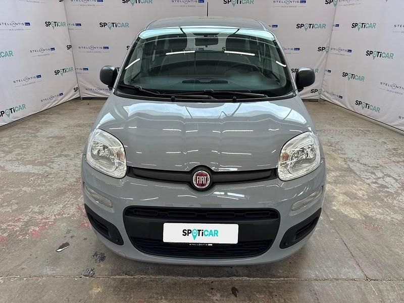 Usata Fiat Panda S 70 CV (51 kW) 2021 Grigio Utilitaria