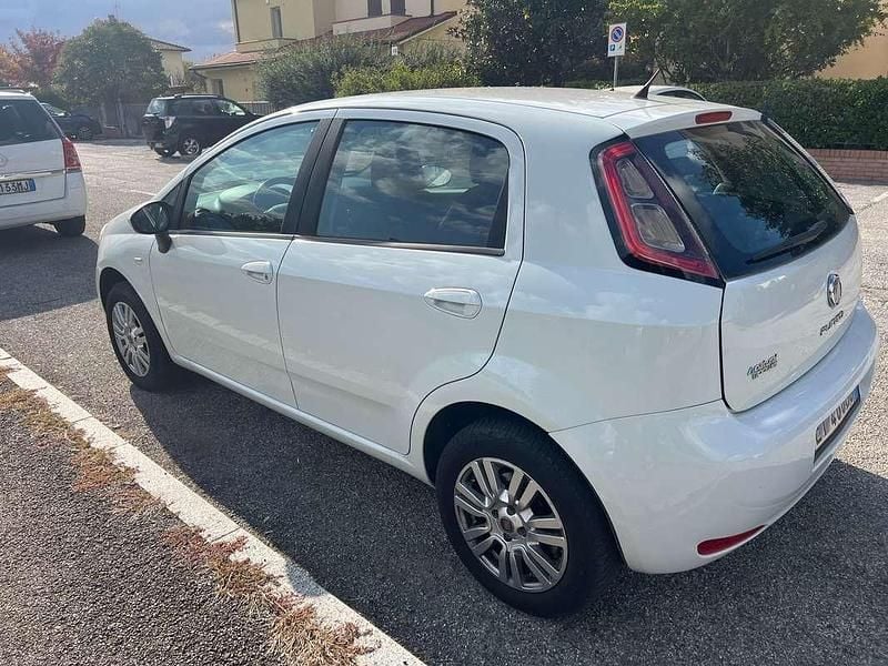 Usata Fiat Punto Lounge 77 CV (56 kW) 2014 Bianco Berlina