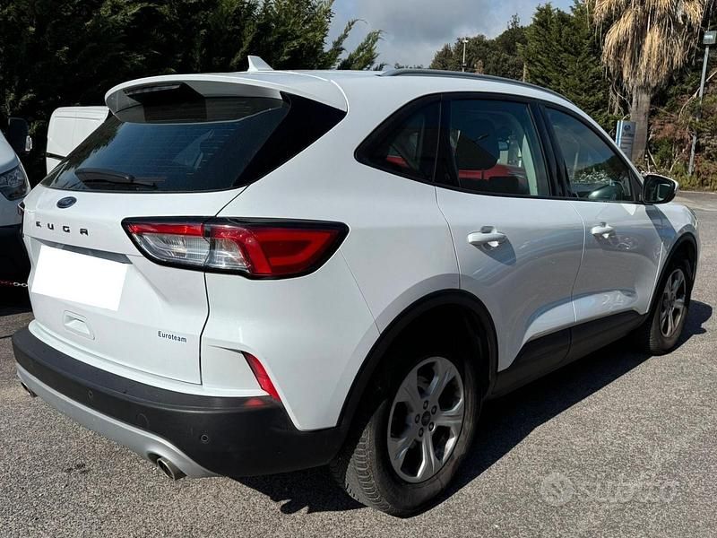 Usata Ford Kuga 120 CV (88 kW) 2021 Frozen white SUV
