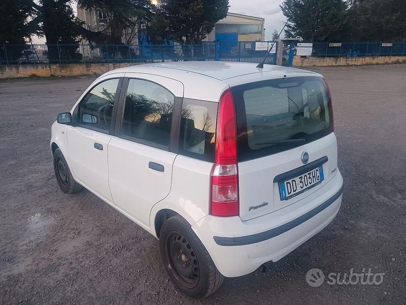 Usata Fiat Panda 70 CV (51 kW) 2006 Bianco Utilitaria