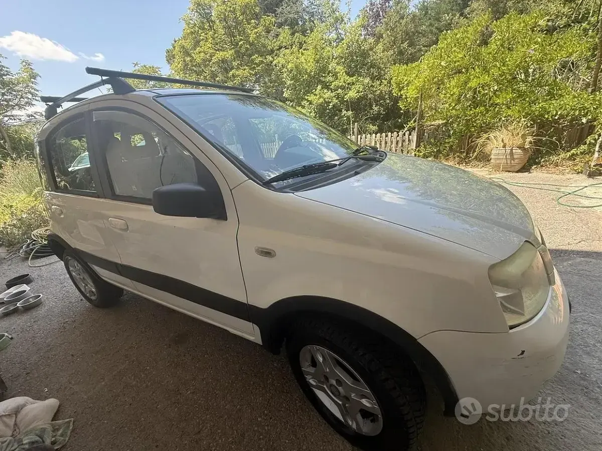 Usata Fiat Panda 4x4 75 CV (55 kW) 2009 Utilitaria