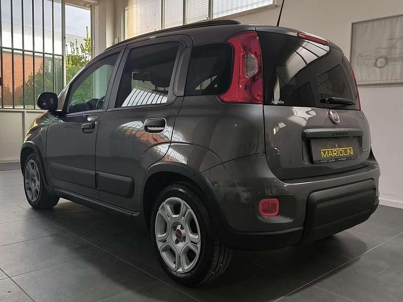 Usata Fiat Panda City Life 69 CV (50 kW) 2023 Grigio Utilitaria