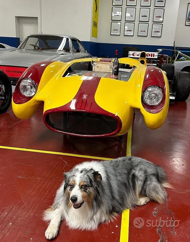 Usata Mini Cooper SD Countryman 142 CV (104 kW) 2013 Bianco SUV