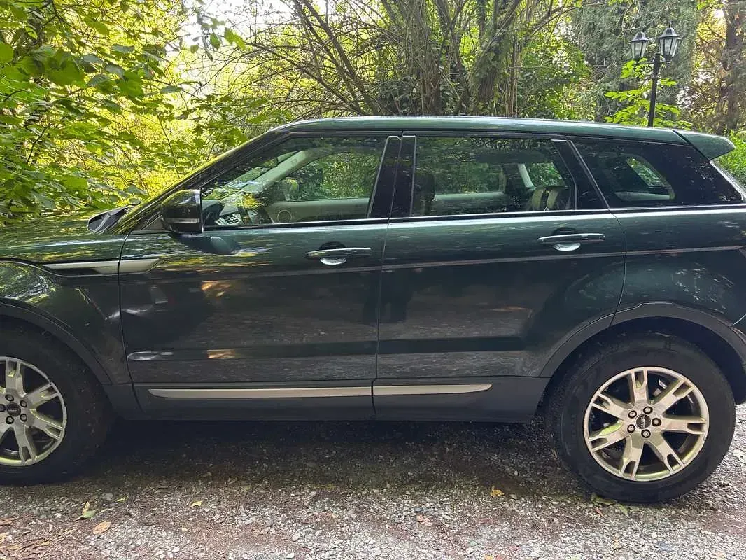 Usata Land Rover Range Rover evoque Pure 150 CV (110 kW) 2011 Verde SUV