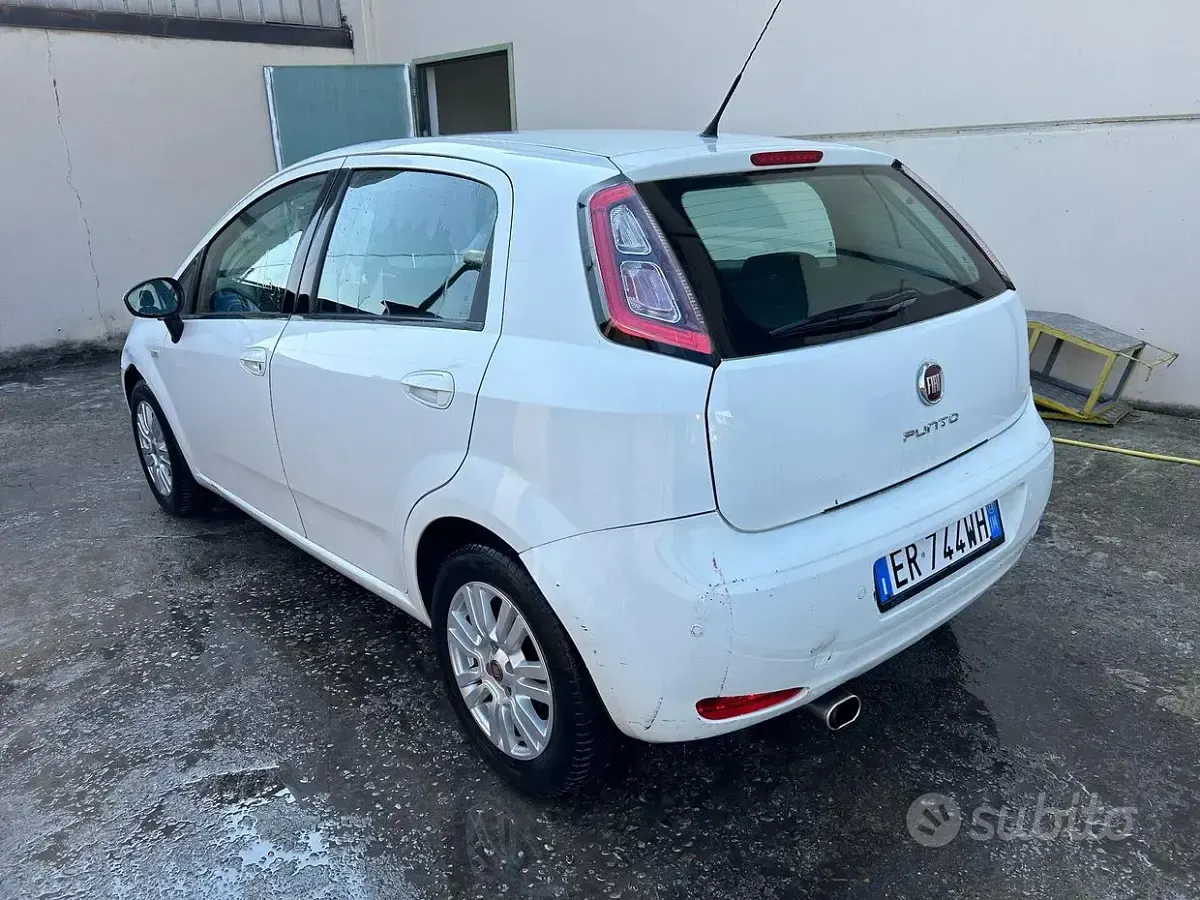 Usata Fiat Punto Lounge 95 CV (69 kW) 2013 Bianco Utilitaria
