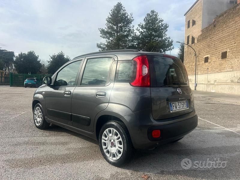 Usata Fiat Panda Connect 69 CV (50 kW) 2019 Grigio Berlina