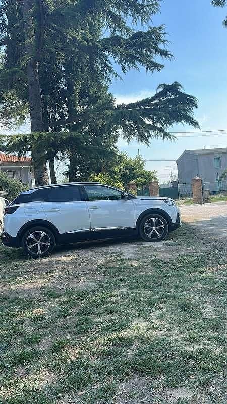 Usata Peugeot 3008 Business-Line 131 CV (96 kW) 2019 Bianco SUV