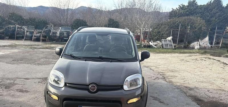 Usata Fiat Panda 4x4 S 86 CV (63 kW) 2022 Grigio Utilitaria