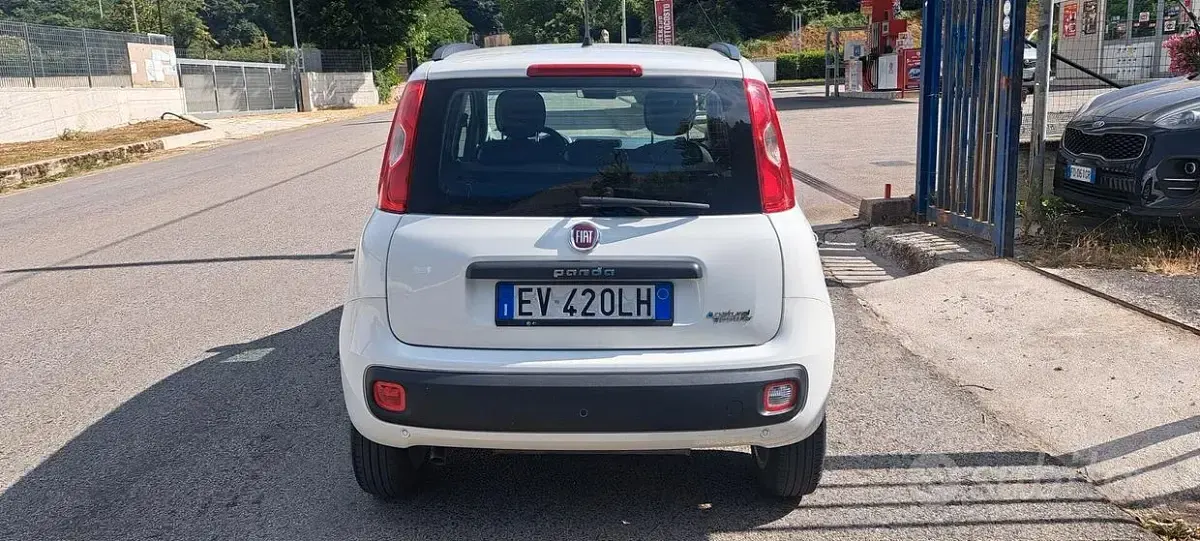 Usata Fiat Panda Lounge 80 CV (58 kW) 2014 Bianco Utilitaria