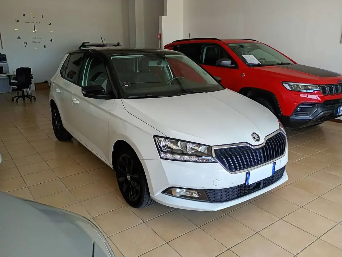 Usata Skoda Fabia 95 CV (69 kW) 2019 Perlato Utilitaria