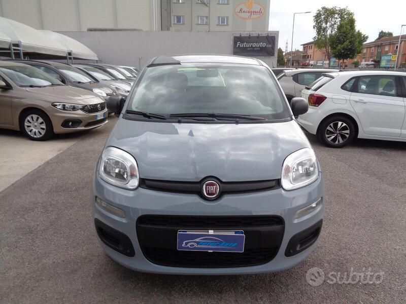 Usata Fiat Panda Easy 69 CV (50 kW) 2019 Grigio Utilitaria