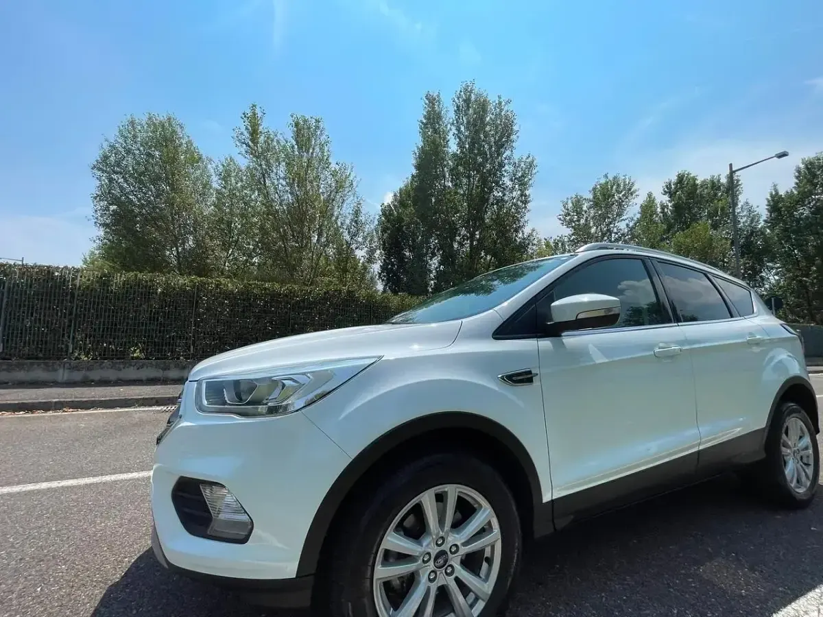 Usata Ford Kuga ST-Line 119 CV (87 kW) 2019 Bianco SUV