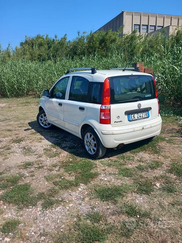 Usata Fiat Panda Dynamic 70 CV (51 kW) 2011 Bianco Utilitaria