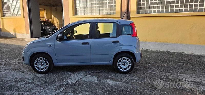 Usata Fiat Panda Easy 69 CV (50 kW) 2020 Grigio Utilitaria