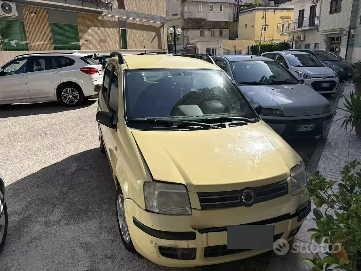 Usata Fiat Panda 60 CV (44 kW) 2008 Giallo Utilitaria