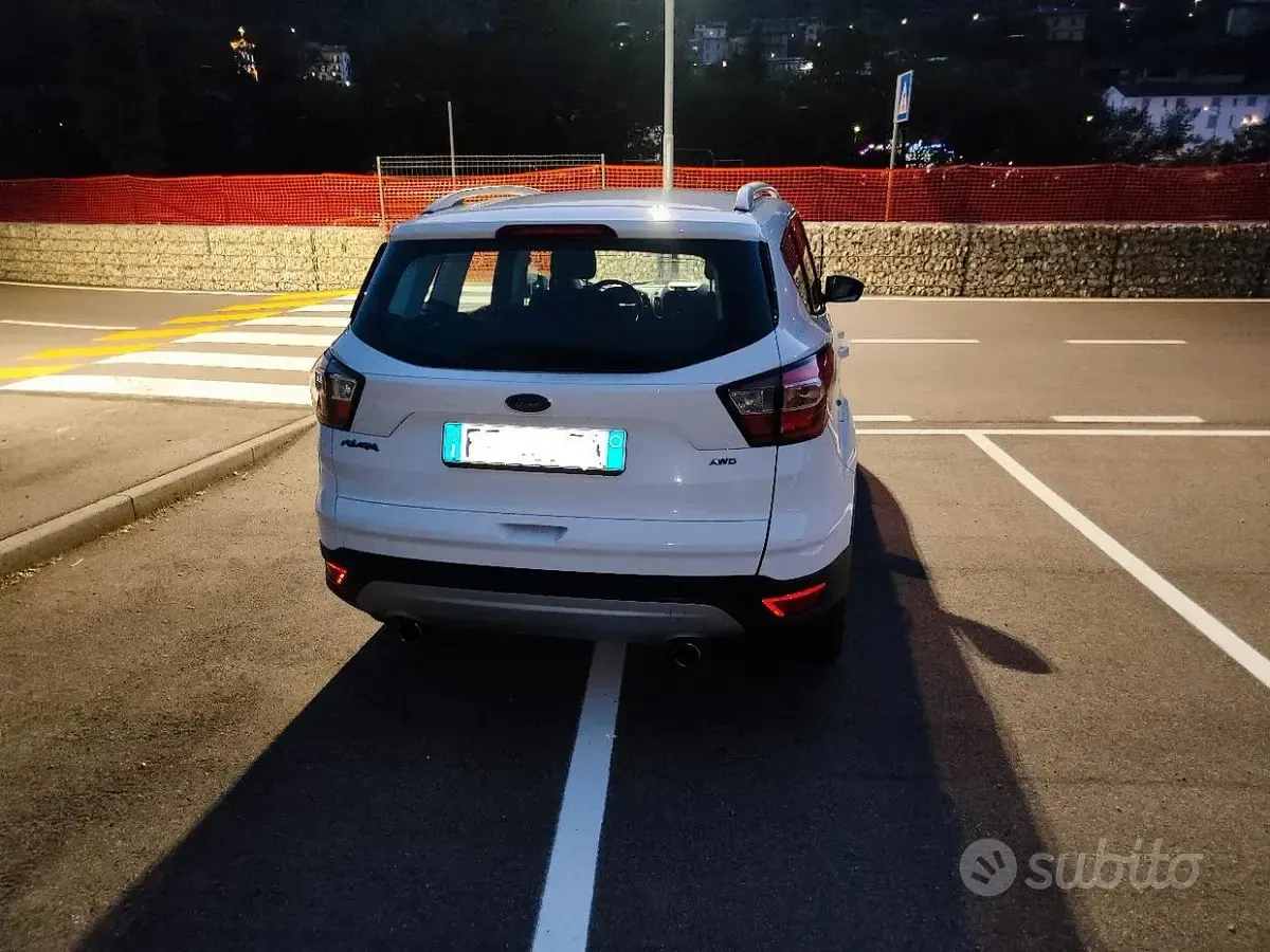 Usata Ford Kuga Business Edition 150 CV (110 kW) 2019 Bianco SUV