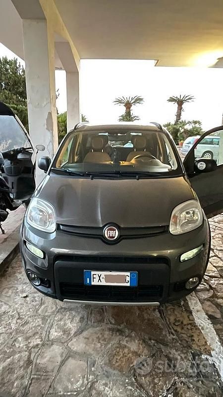 Usata Fiat Panda 4x4 Wild 2019 Grigio Utilitaria