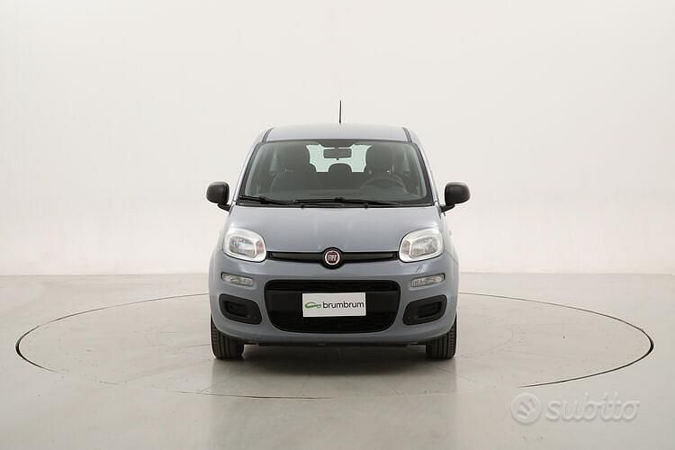 Usata Fiat Panda Easy 69 CV (50 kW) 2020 Grigio Utilitaria