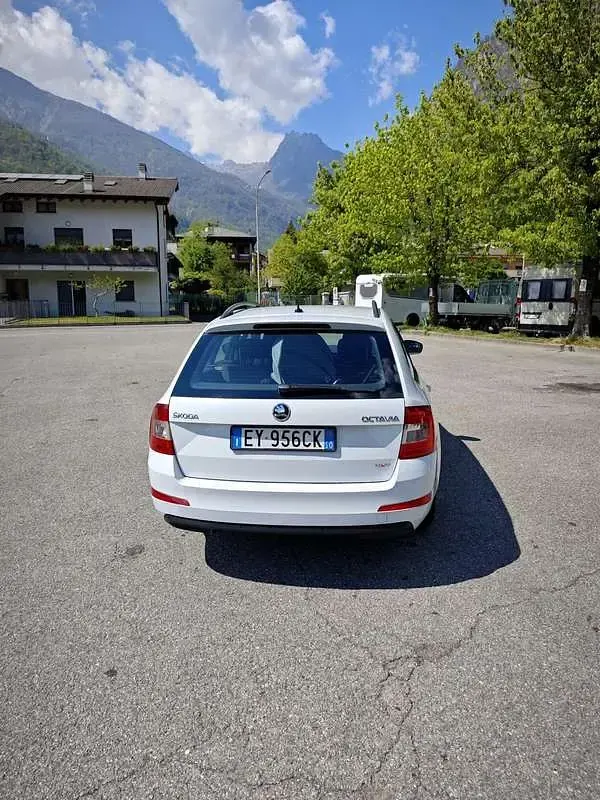 Usata Skoda Octavia Ambition 105 CV (77 kW) 2015 Bianco Utilitaria