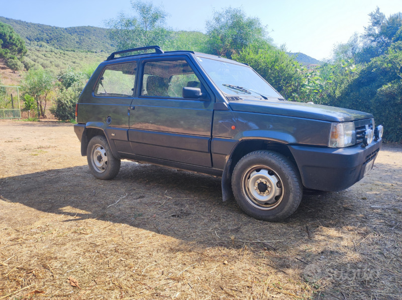 Usato 1995 Fiat Panda 4x4 Benzin (7.000 €)