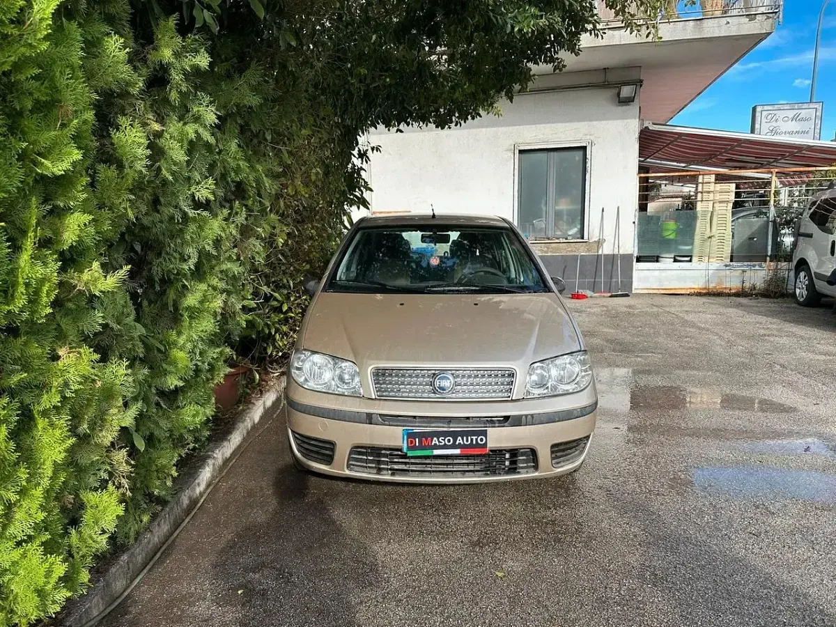 Usata Fiat Punto Active 60 CV (44 kW) 2009 Oro Utilitaria
