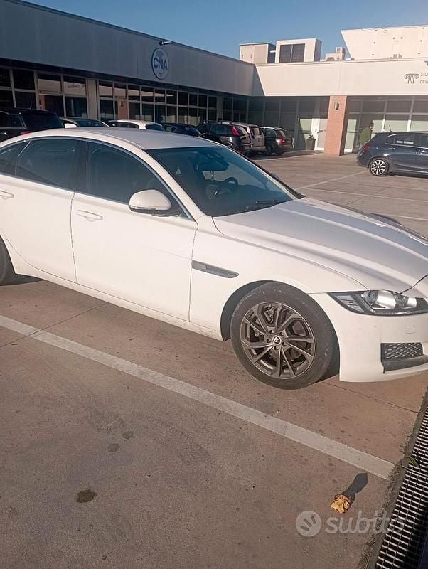 Usata Jaguar XF 240 CV (176 kW) 2015 Bianco Berlina