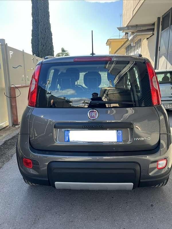 Usata Fiat Panda City Life 69 CV (50 kW) 2023 Utilitaria