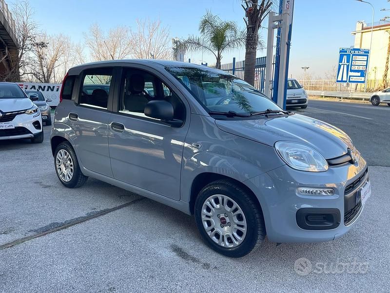 Usata Fiat Panda Easy 69 CV (50 kW) 2018 Grigio Utilitaria