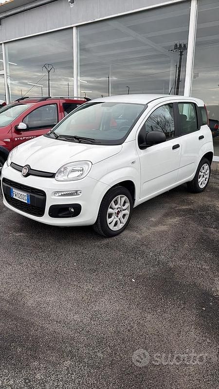 Usata Fiat Panda Easy 70 CV (51 kW) 2019 Bianco Utilitaria