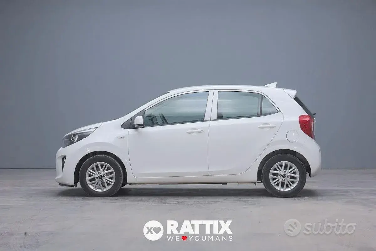Usata Kia Picanto Urban 67 CV (49 kW) 2024 Bianco Utilitaria