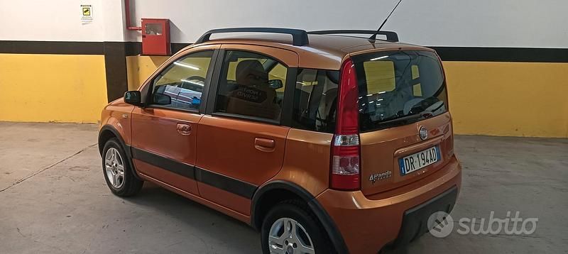 Usata Fiat Panda 77 CV (56 kW) 2008 Utilitaria