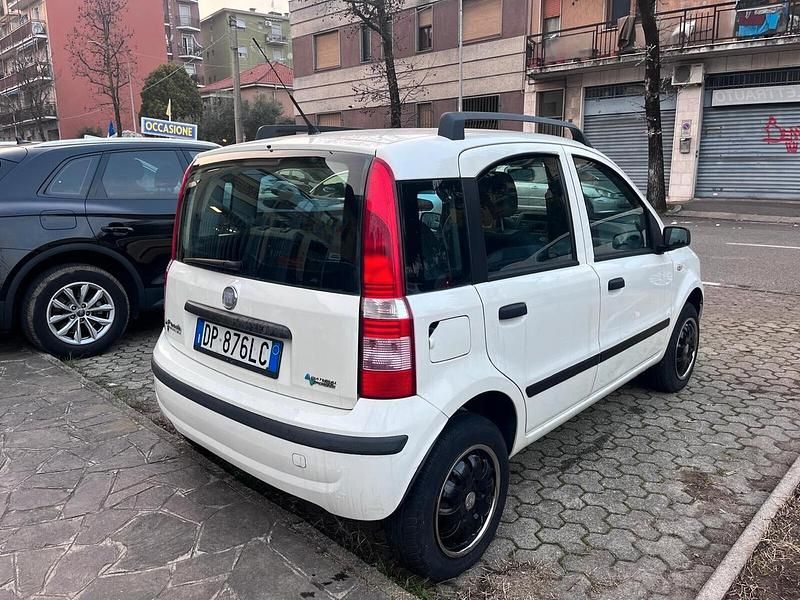 Usata Fiat Panda Dynamic 59 CV (43 kW) 2008 Bianco Utilitaria
