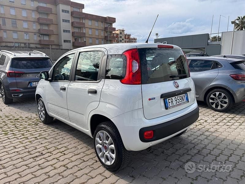Usata Fiat Panda Easy 71 CV (52 kW) 2018 Bianco Utilitaria