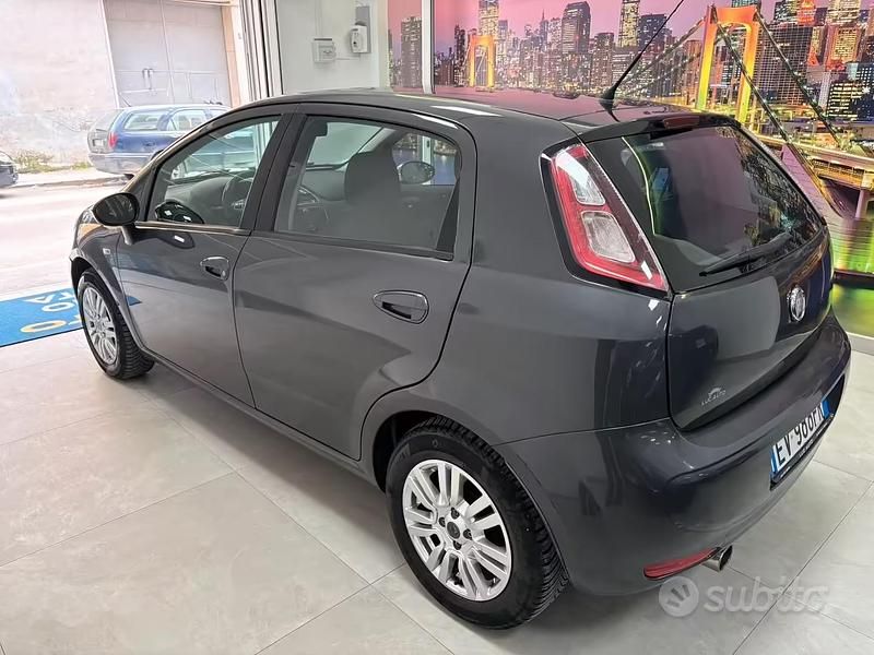 Usata Fiat Punto Lounge 69 CV (50 kW) 2014 Grigio Utilitaria