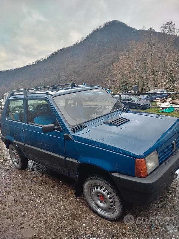 Usata Fiat Panda 4x4 1993 Blu Utilitaria
